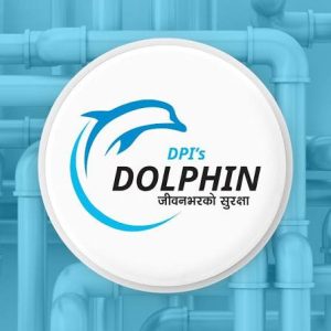 dolphin